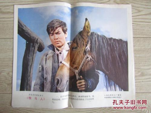 哪里能办郑州大专文凭毕业证